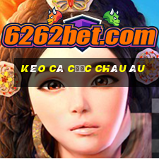 kèo cá cược châu âu