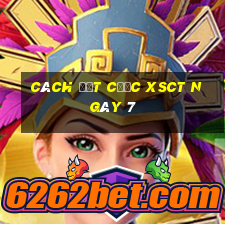 Cách đặt cược XSCT ngày 7