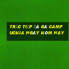 trực tiếp đá gà campuchia ngày hôm nay