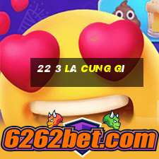 22 3 là cung gì