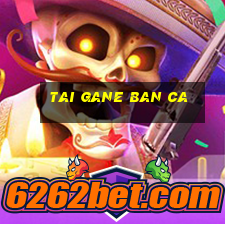 tai gane ban ca