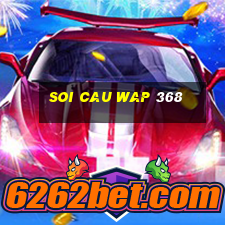 soi cau wap 368