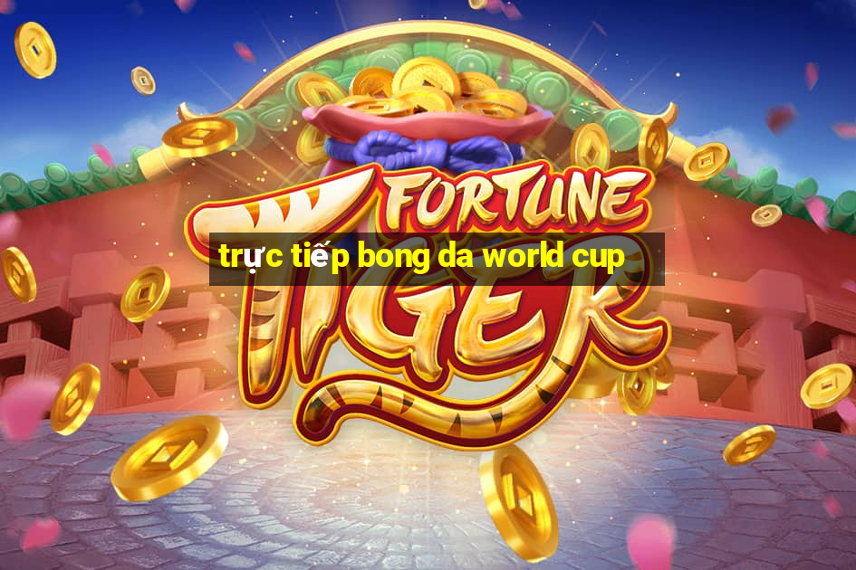 trực tiếp bong da world cup