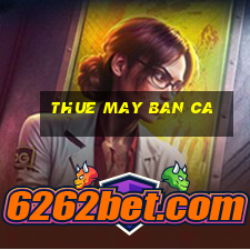 thue may ban ca