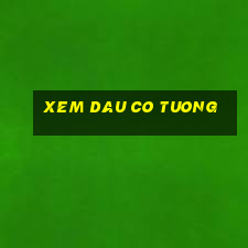 xem dau co tuong