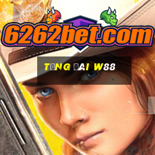 tổng đài w88