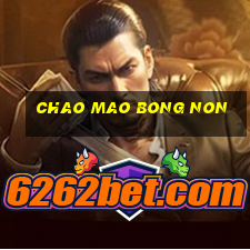 chao mao bong non