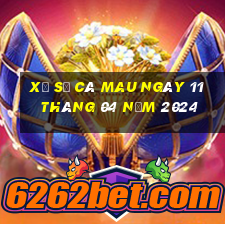 xổ số cà mau ngày 11 tháng 04 năm 2024