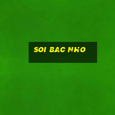 soi bac nho