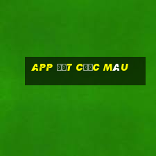 app đặt cược màu