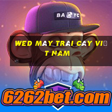 wed máy trái cây Việt nam