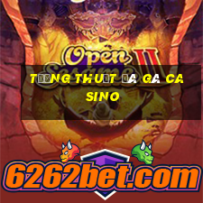 tường thuật đá gà casino