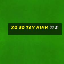 xo so tay ninh 11 8