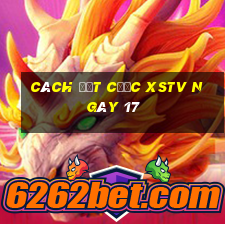 Cách đặt cược XSTV ngày 17