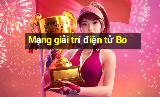 Mạng giải trí điện tử Bo