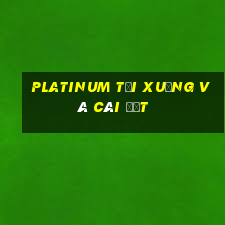 Platinum Tải xuống và cài đặt