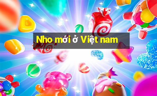 Nho mới ở Việt nam