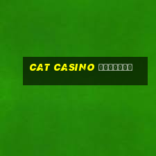 cat casino зеркало