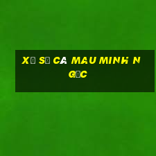 xo so ca mau minh ngoc