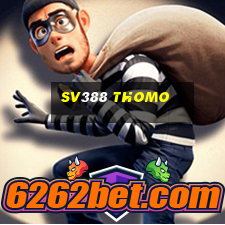 sv388 thomo