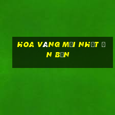 hoa vàng mới nhất ấn bản