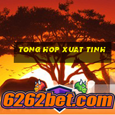 tong hop xuat tinh