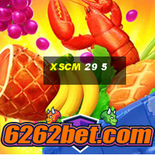 xscm 29 5