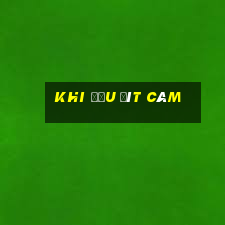 khi đầu đít câm