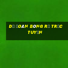 Dự đoán bóng rổ trực tuyến