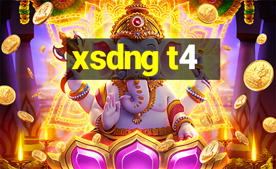 xsdng t4