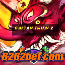 cầu tân thuận 2