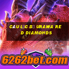 câu lạc bộ urawa red diamonds