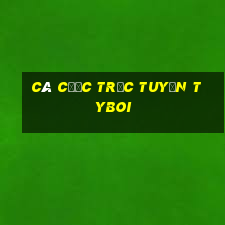 Cá cược trực tuyến tyboi