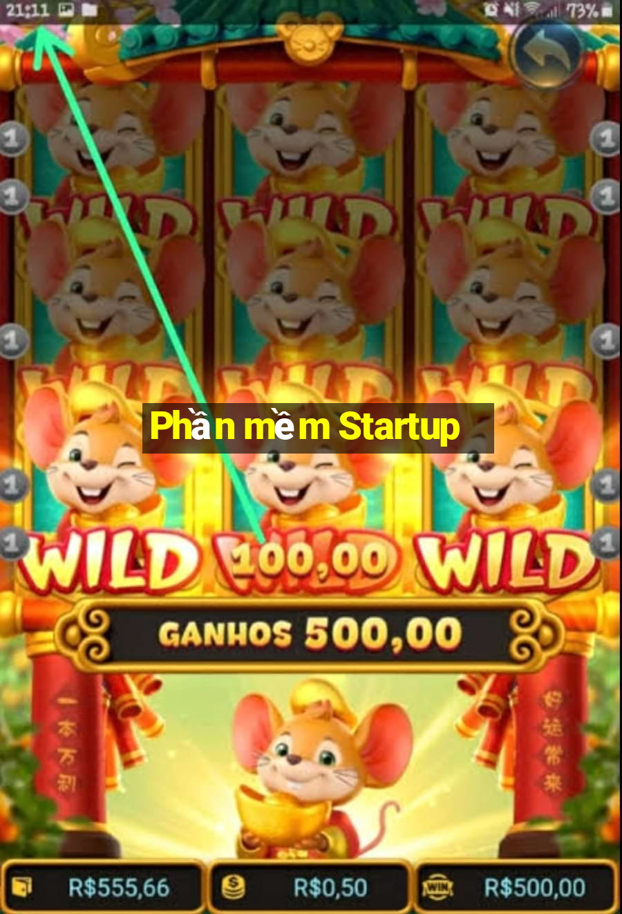 Phần mềm Startup