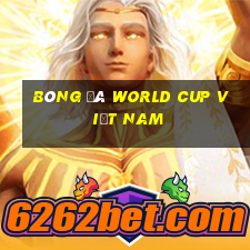 bóng đá world cup việt nam