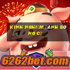 kinh nghiệm đánh bóng cỏ