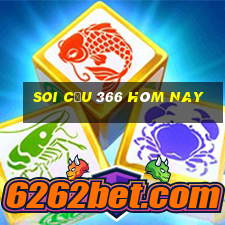 soi cầu 366 hôm nay