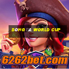 bóng đá world cup