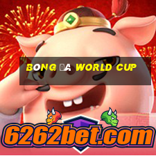 bóng đá world cup