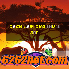 cách làm cho đầu đỡ bết