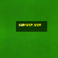 s0nvip.vin