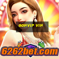 Gonvip Vin