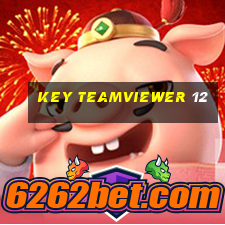 key teamviewer 12