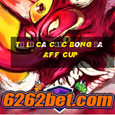 tỷ lệ cá cược bóng đá aff cup