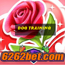 dog training