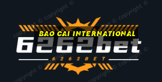 Bao Cai International