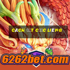 cách đặt cược Liêng