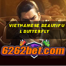 Vietnamese beautiful butterfly