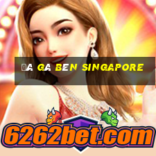 đá gà bên singapore