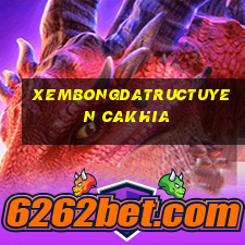 xembongdatructuyen cakhia